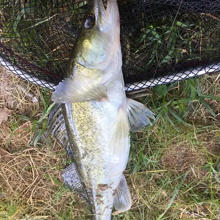 Clodeguy No 2 Апартаменты